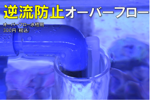 オーバーフロー水槽の逆流防止に便利 逆流防止