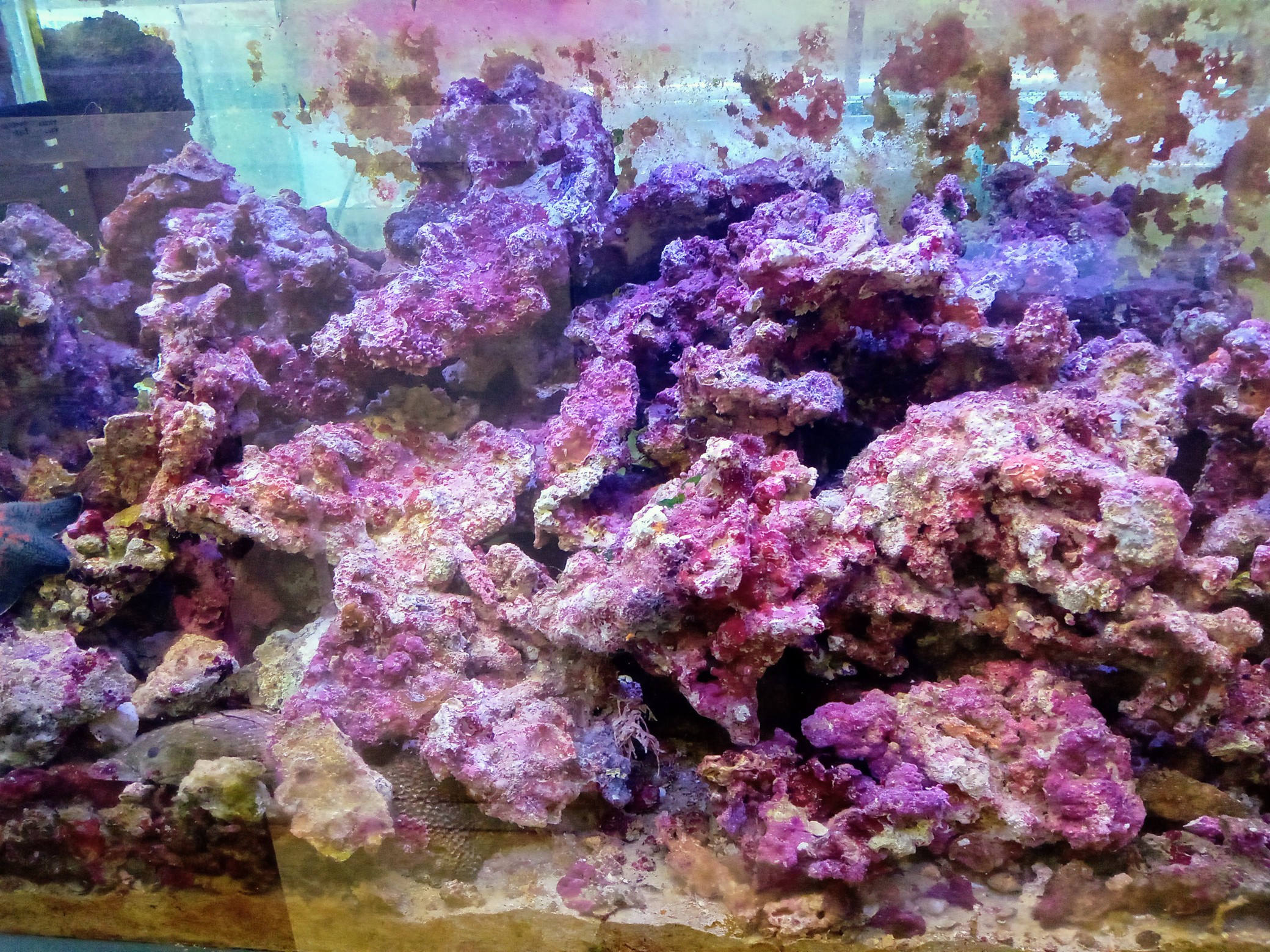 海水魚サンゴ販売専門店 マリンキープ 海水販売＆海水宅配サービス