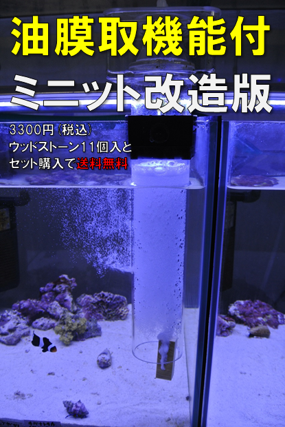 海水魚サンゴ飼育用小型プロテインスキマーミニット２