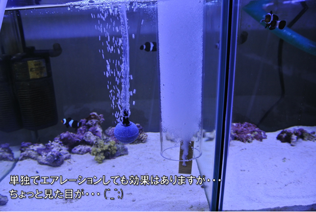 海水魚サンゴ飼育用小型プロテインスキマーミニット2 海水魚サンゴ飼育用小型プロテインスキマーミニット2