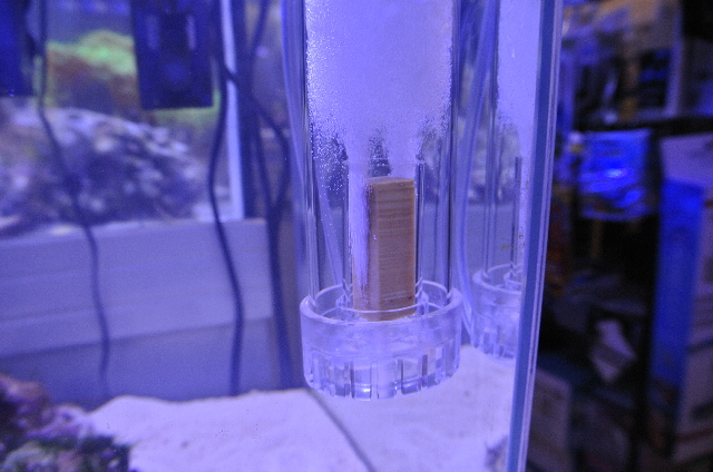 海水魚サンゴ飼育用小型プロテインスキマーミニット2